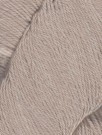 1011 Sand dollar thumbnail