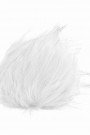 Arctic fox thumbnail