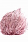 Rose galah thumbnail