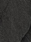 1009 Iron thumbnail