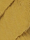 1013 Coriander thumbnail