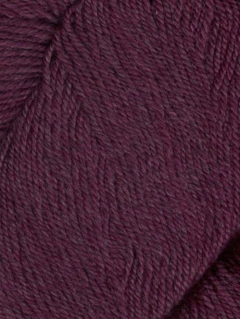 1004 Beetroot
