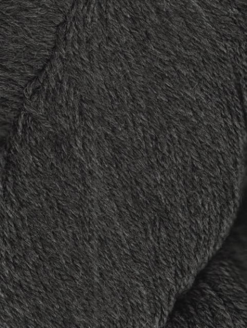 1009 Iron
