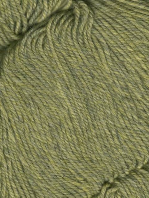 1001 Cornsilk